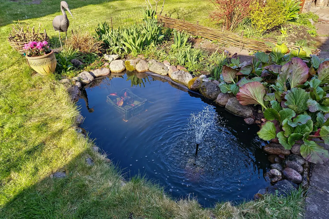 fontanna w oczku wodnym